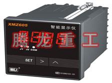 溫度表、數(shù)字顯示儀、濕度表